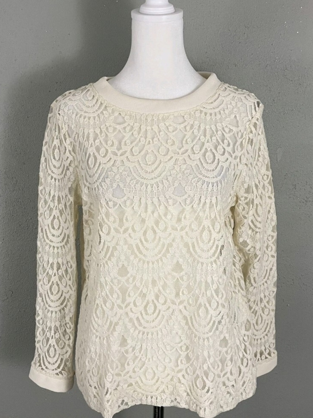 Banana Republic Ivory Crochet Lace Long Sleeve Top